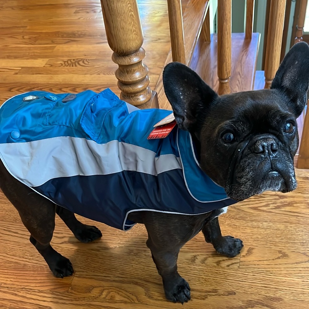 NWT. 3 IN 1 ARCADIA DOG COAT.